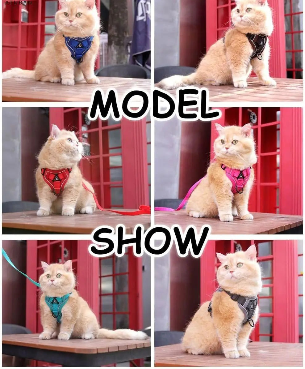 Adjustable Cat Vest Harness and Leash Set - Reflective Trim for All Sizes