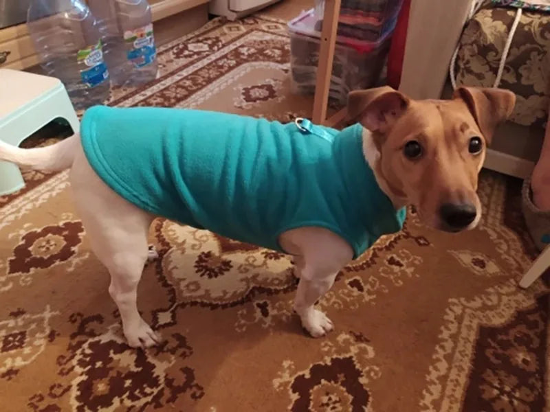 Gilet Polaire pour Petits Chiens et Chats | Manteau d'Hiver Chaud pour Chihuahuas et Bouledogues Français