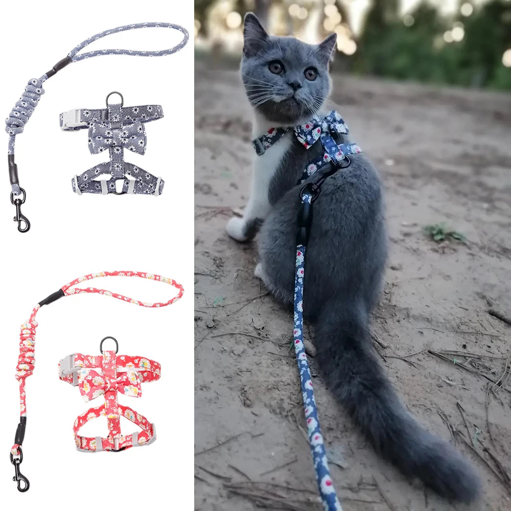 Floral Print Harness & Leash Set for Cats & Small Dogs