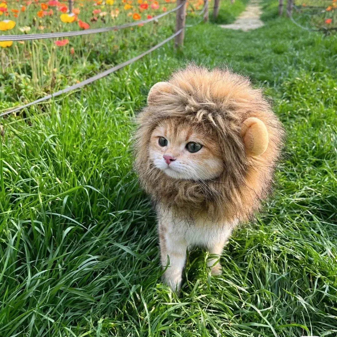 Lion Mane Pet Costume for Dogs and Cats