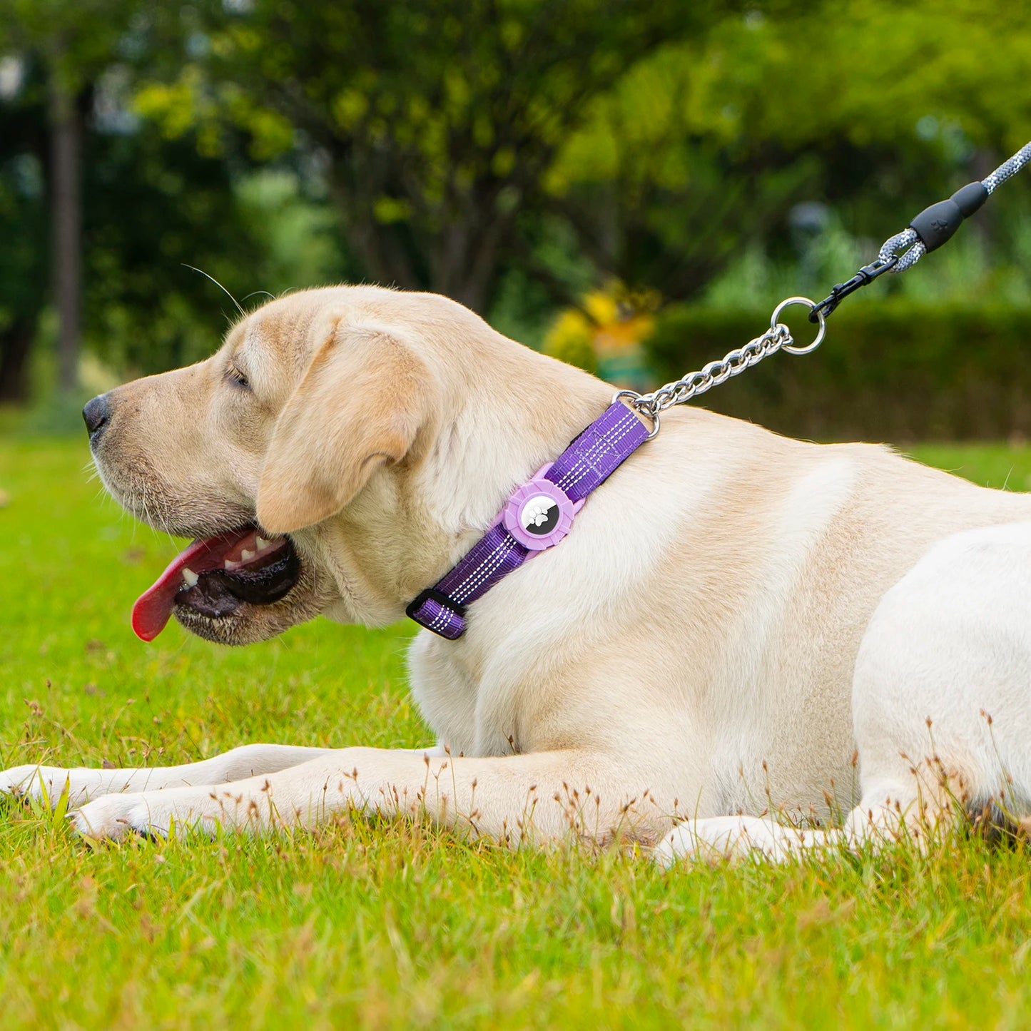 Collier réfléchissant pour chien avec support AirTag et boucle à dégagement rapide