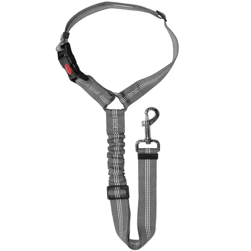 Reflective Dog Car Seat Belt and Walking Leash for Small Dogs