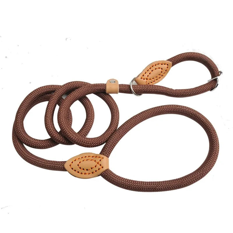Laisse-collier chien - Corde tressée robuste avec boucle réglable pour grands chiens