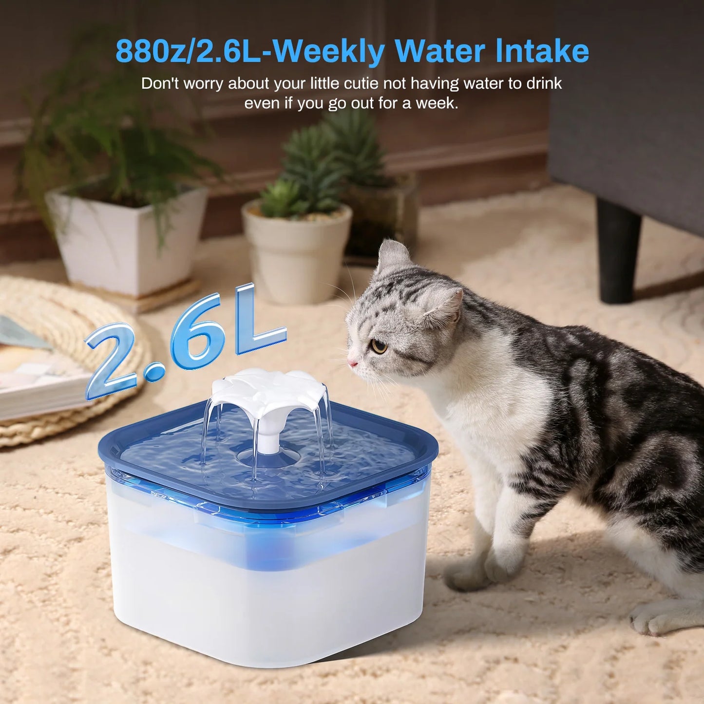Fontaine à eau pour animaux de compagnie de 2,6 litres avec pompe à eau filtrée silencieuse, distributeur d'eau pour chats, chiens et animaux de compagnie d'intérieur