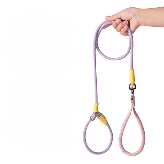 Laisse et collier combinés en nylon pour petits chiens