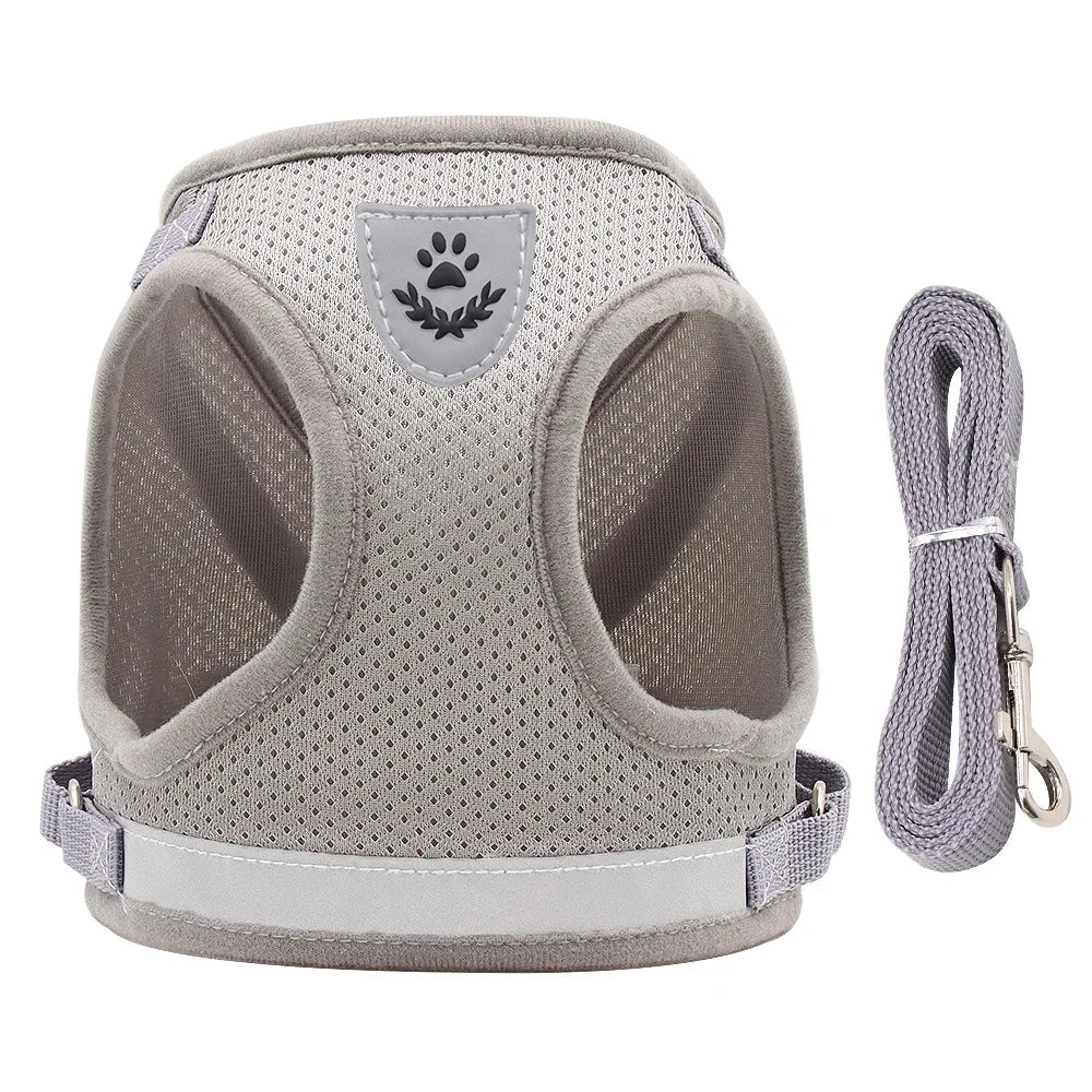 Ensemble harnais et laisse anti-évasion pour animaux de compagnie – Gilet en maille réfléchissante pour chats et petits chiens