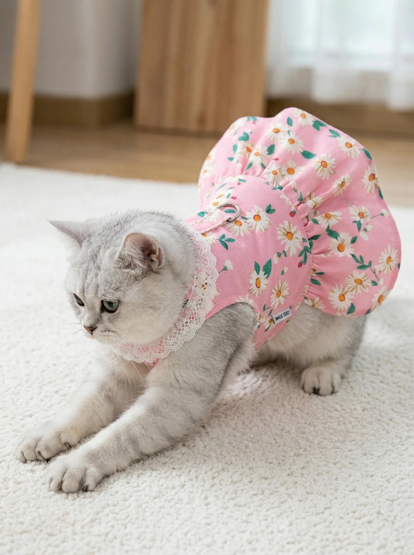Princess Cooling Dress for Small Dogs & Cats with Leash Ring