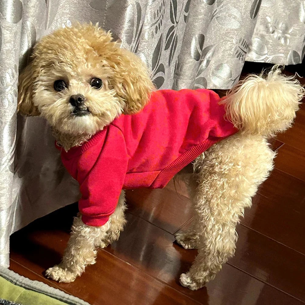 Round Neck Sweatshirt with Traction Ring for Small Dogs & Cats