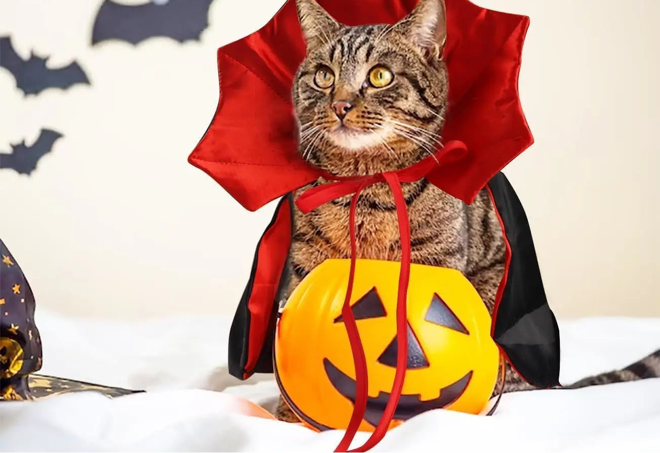 Cape de vampire pour chat – Costume d'Halloween réglable pour animaux de compagnie
