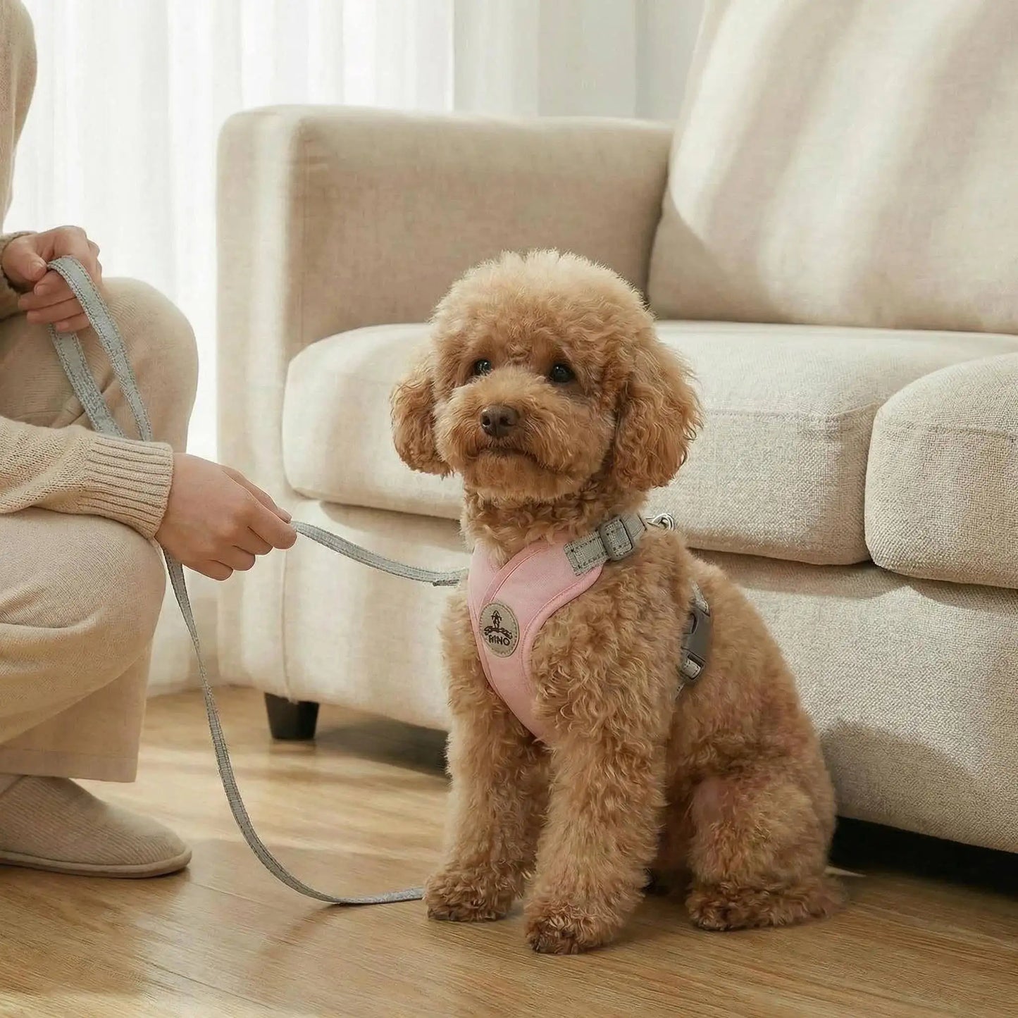 Harnais et laisse réfléchissants pour chien en forme de X | Gilet réglable à libération rapide pour petits et moyens chiens