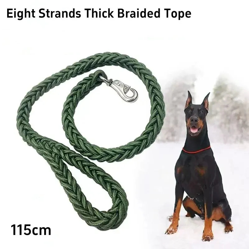 Ensemble laisse et collier pour chien avec gilet harnais