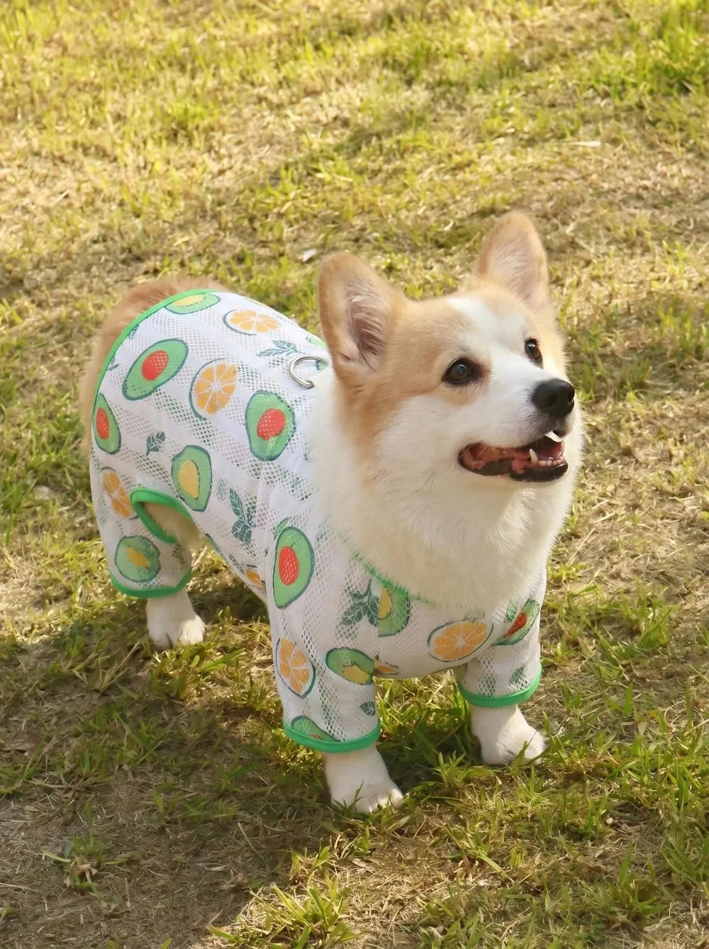 Breathable Mesh Cooling Jumpsuit for Small Dogs & Cats