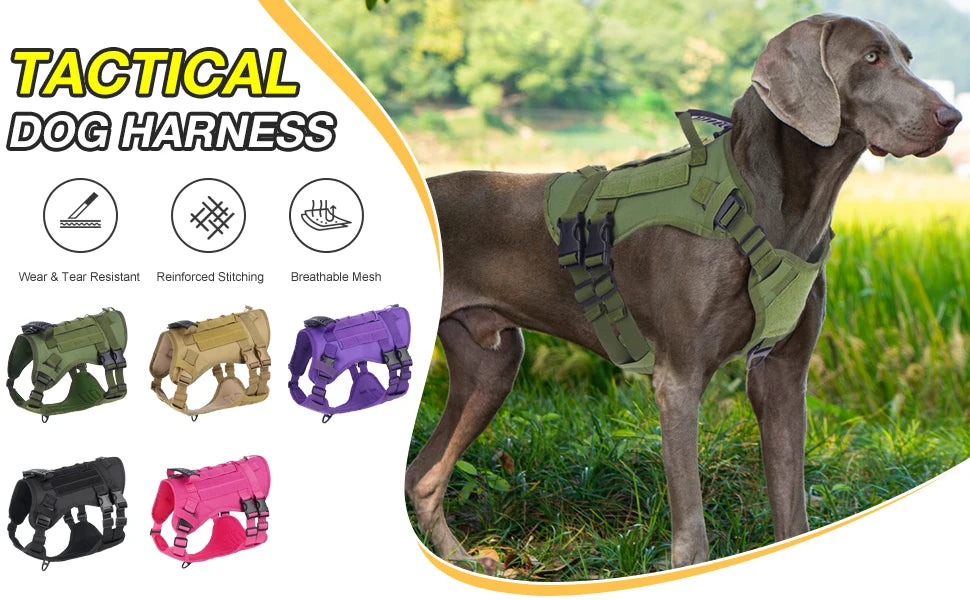 Harnais Tactique pour Chien avec Sangle de Poitrine et Boucle de Renfort