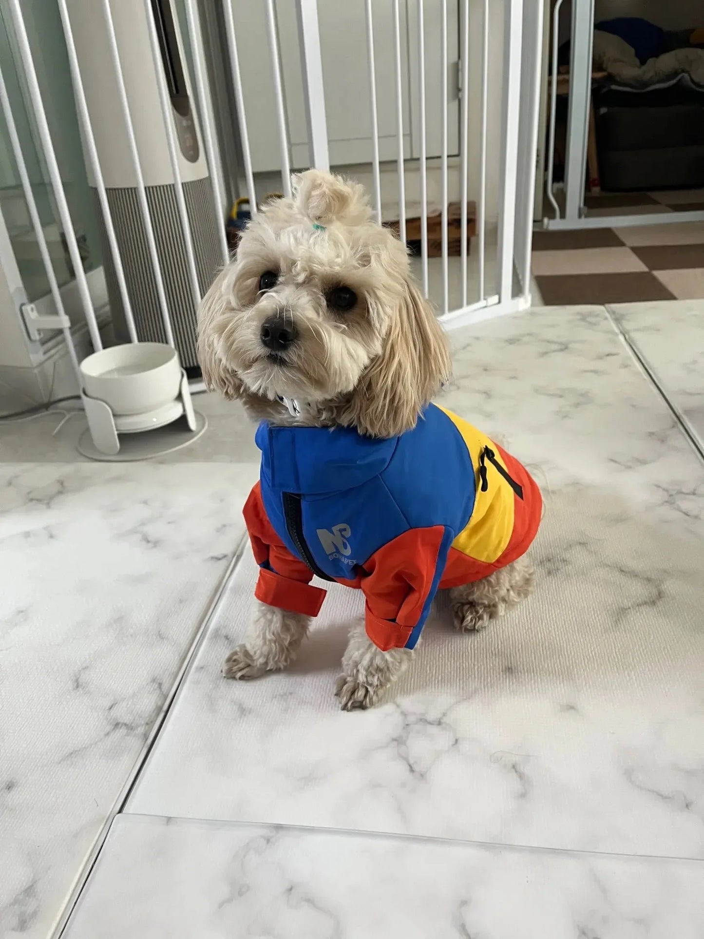 Waterproof Hooded Dog Raincoat & Sport Hoodie