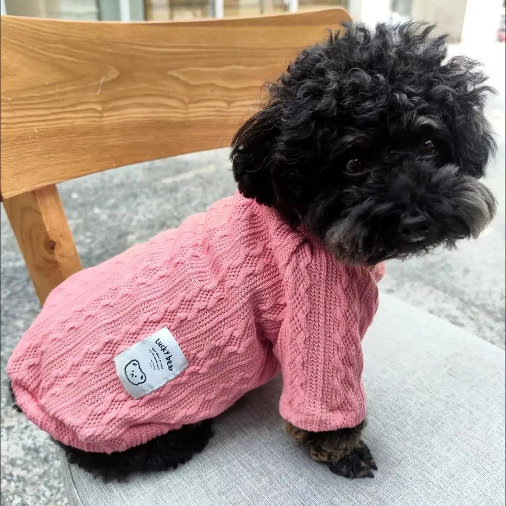 Long-Sleeve Knitted Pullover Sweater for Cats & Small Dogs