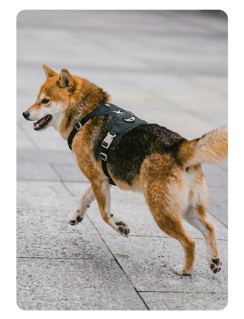 Lightweight Dog Harness & Leash Set Anti-Pull Escape-Proof Pet Walking Lead for Small Medium Large Dogs