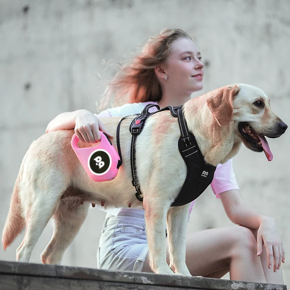LED Retractable Dog Leash | 5M Rechargeable Light-Up Leash