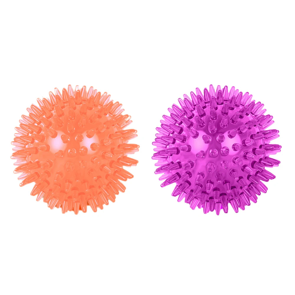 Squeaky Rubber Play Ball for Dogs