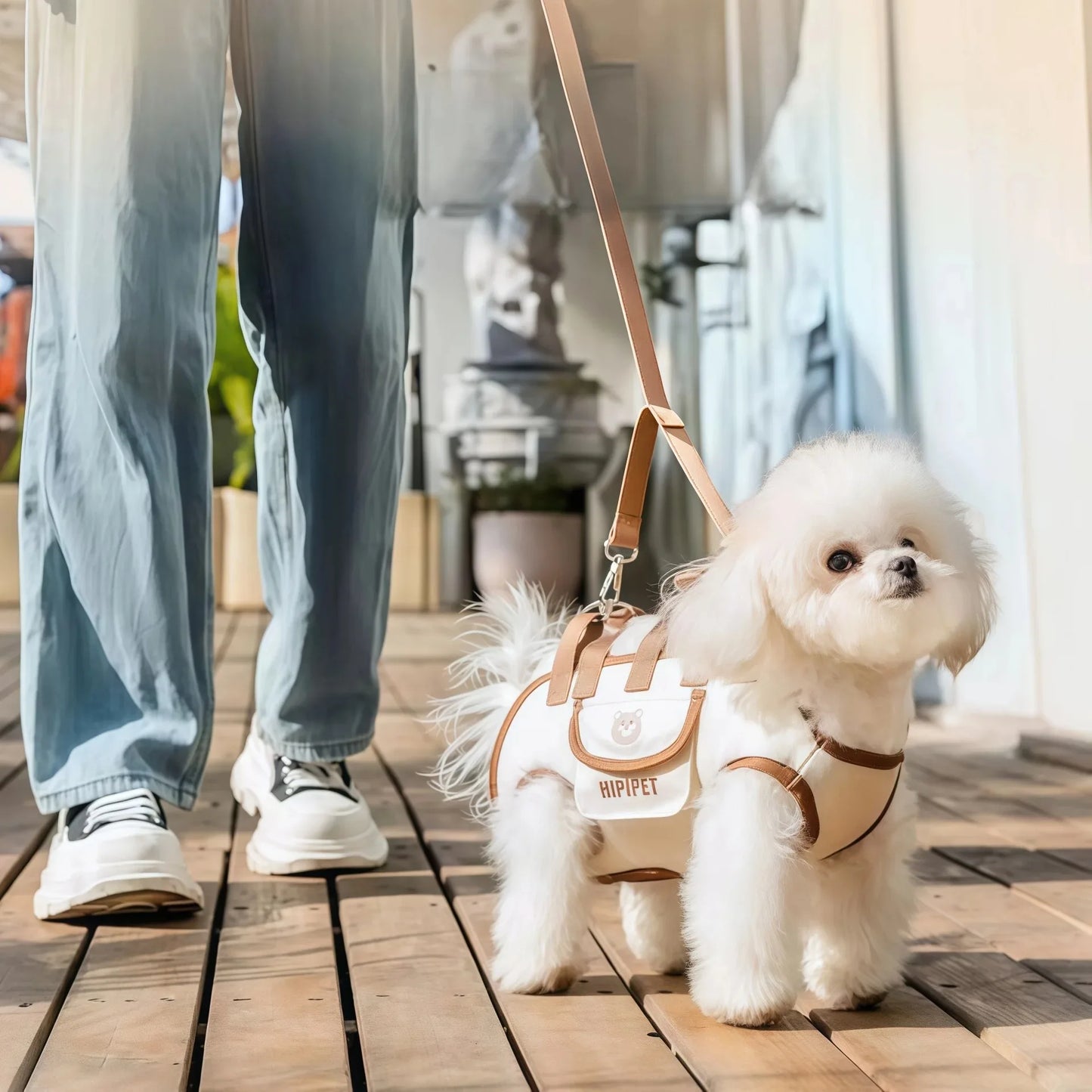 Sac de transport pour animaux de compagnie avec design de sac à dos