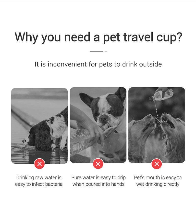 Portable Dog Water Bottle with Drinking Bowl – Leakproof, for Dogs & Cats