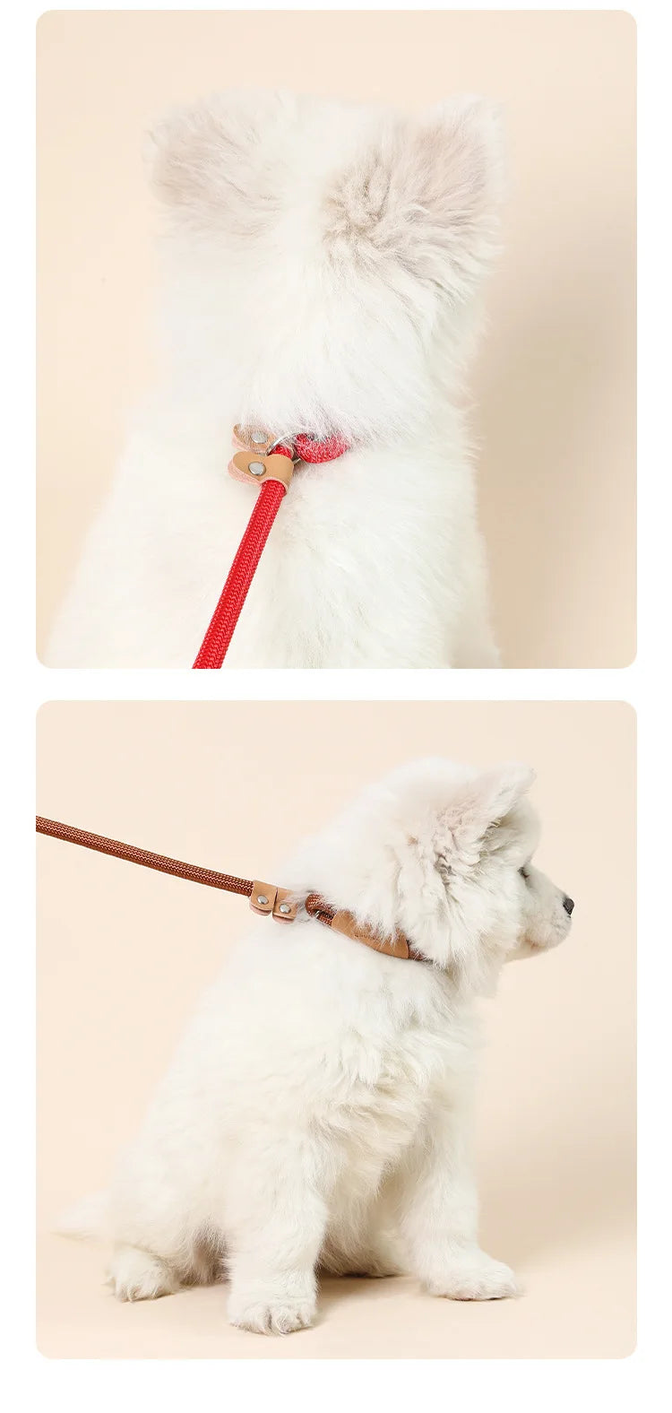 Adjustable Loop Collar Training Leash for Dogs