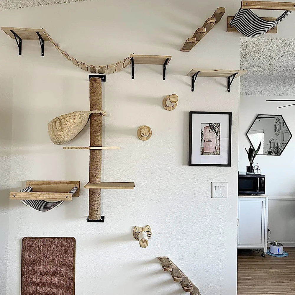 Wall-Mounted Cat Climbing Furniture & Hammocks