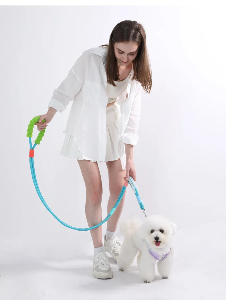 Anti-Slip Nylon Dog Lead — Lightweight & Wear-Resistant