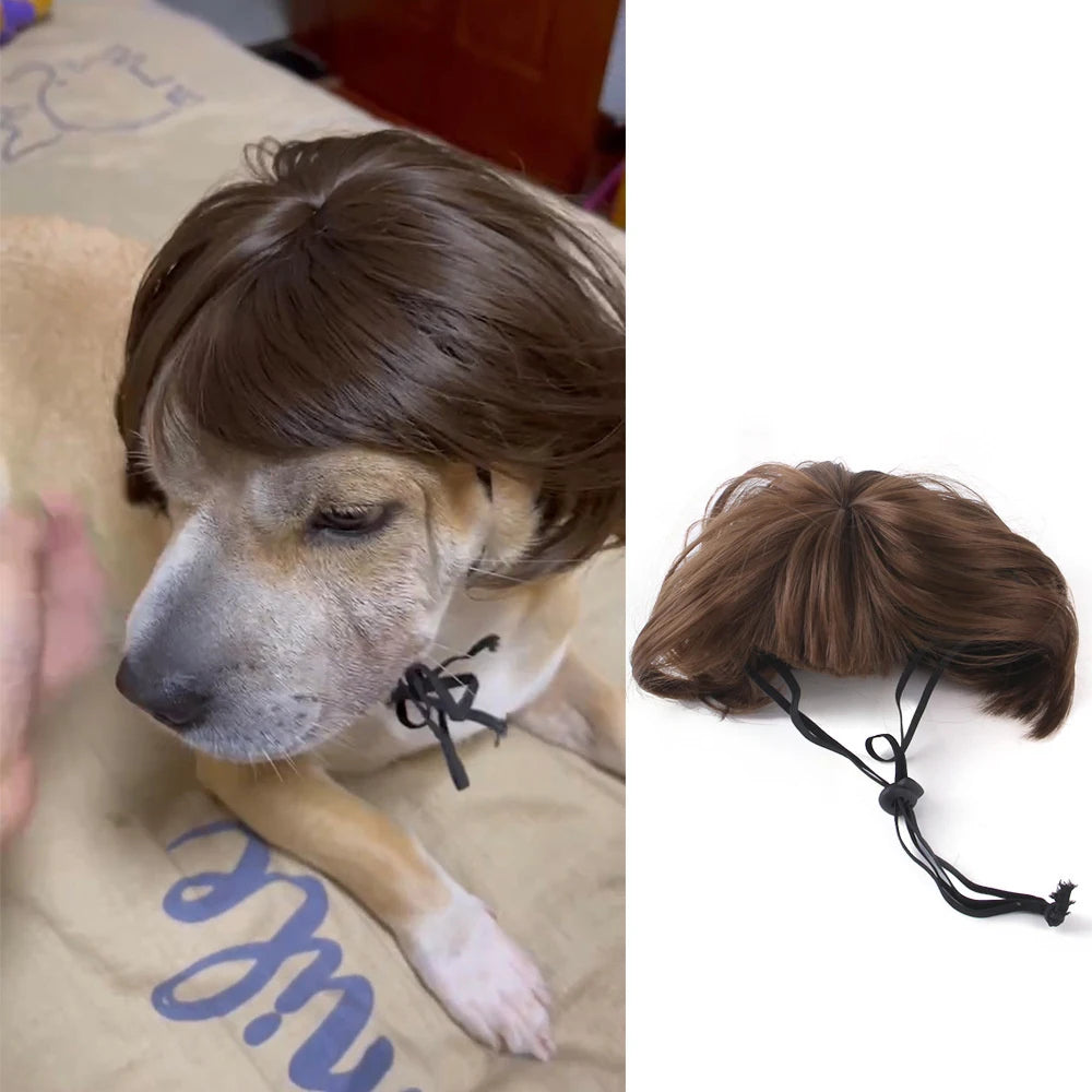 Novelty Faux Fur Wig Hat for Dogs & Cats
