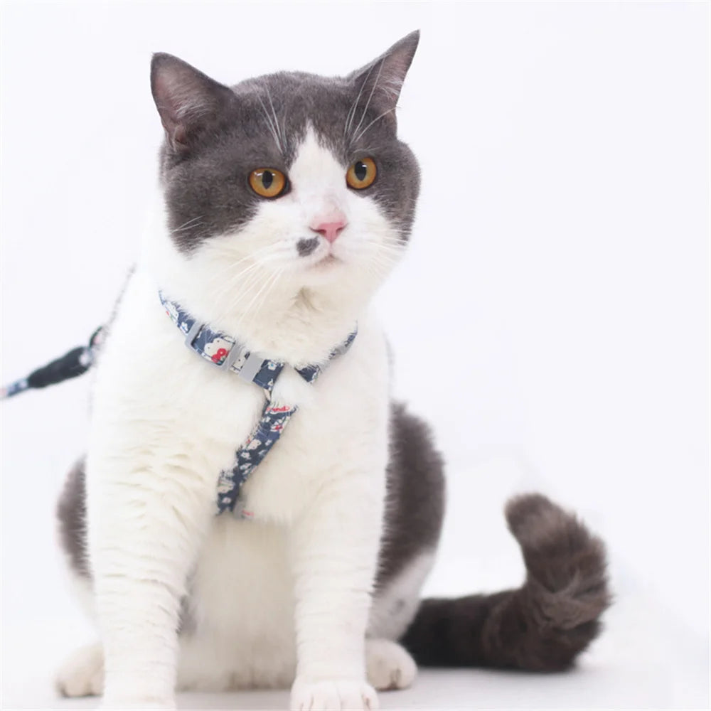 Floral Print Harness & Leash Set for Cats & Small Dogs