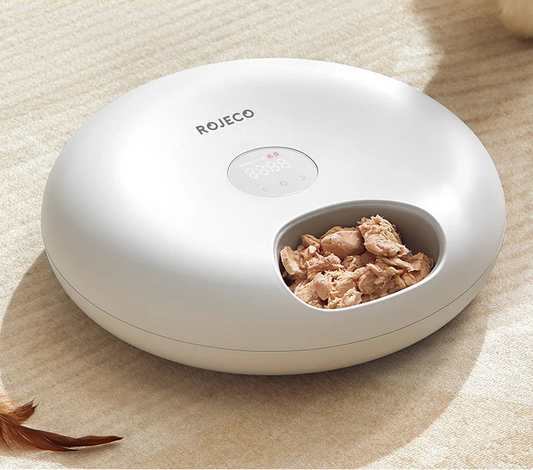 Automatic Pet Feeder for Wet & Dry Food