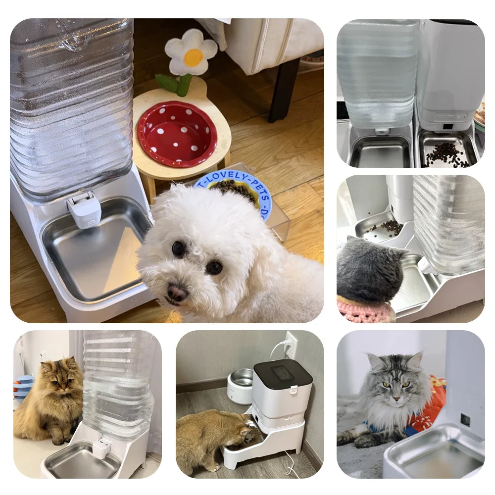 Automatic Pet Feeder & Gravity Waterer Options