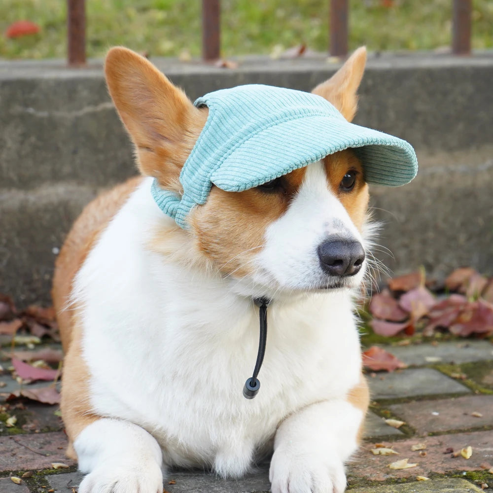 Fashionable Pet Dog Hat with Adjustable Sun Protection XS to XL Size for Small Medium Large Dogs Pet Outdoor Suppies Accessories