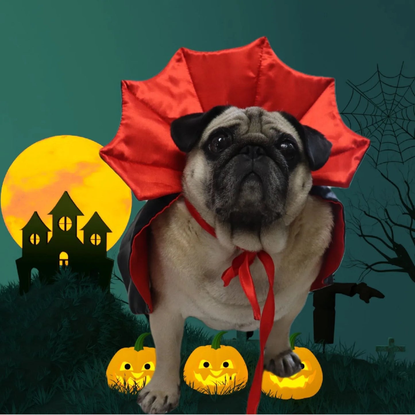 Halloween Vampire Devil Cape Costume for Dogs — Cosplay Cloak for Small, Medium & Large Dogs