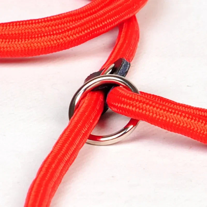 Comfortable Nylon Dog Leash and Collar Set