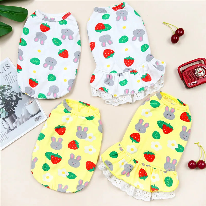 Cotton Print Dress for Cats & Small Dogs