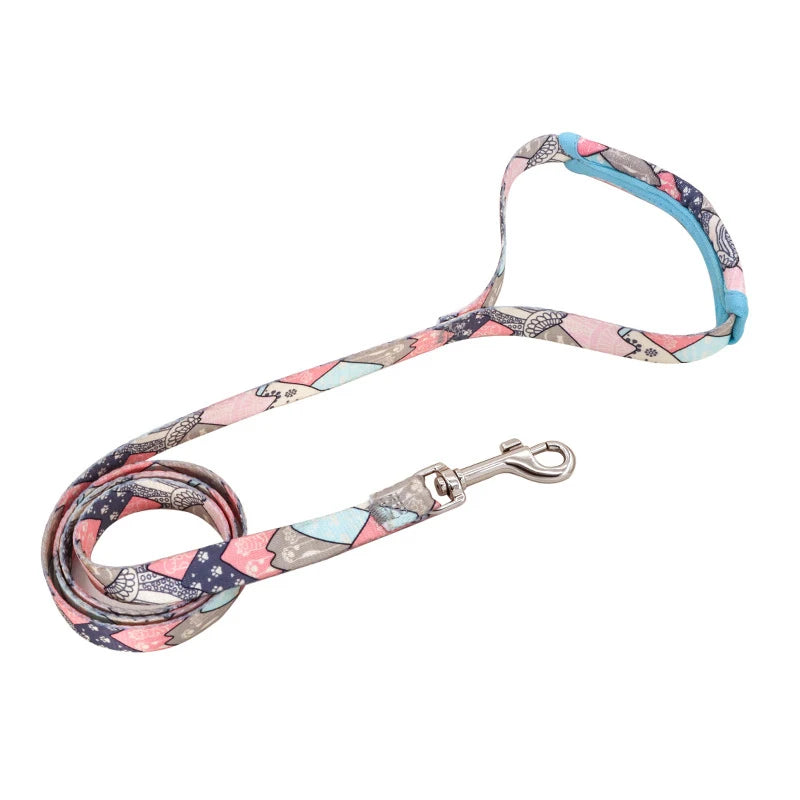 Adjustable Dog Harness & Leash Set