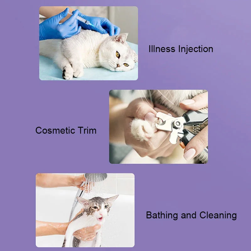 Anti-Slip Pet Paw Protectors - 4 Pack