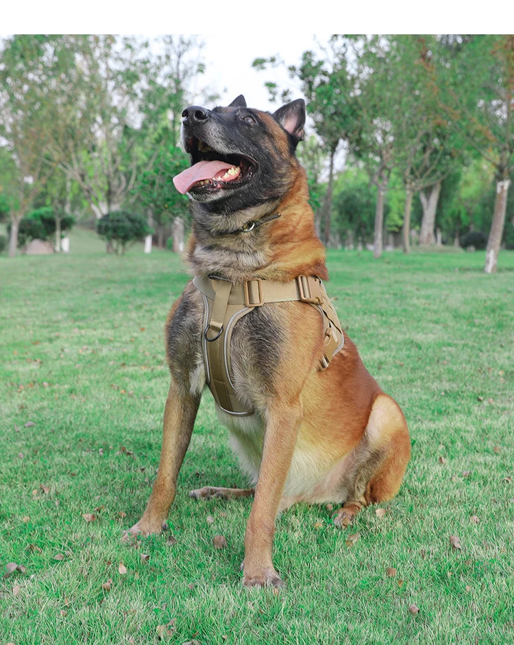 Harnais tactique respirant pour chien avec boucle à dégagement rapide