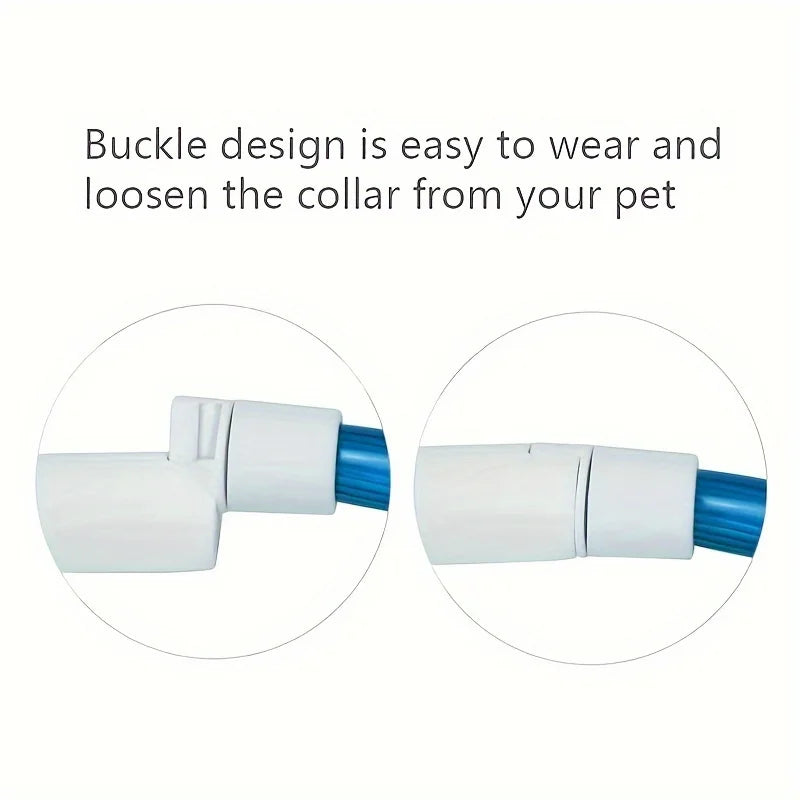 Collier lumineux LED pour chien - Collier de sécurité rechargeable par USB pour une visibilité nocturne