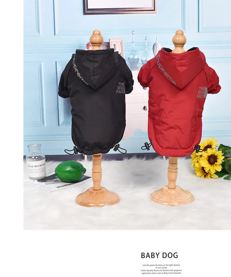 Manteau imperméable à capuche pour chien