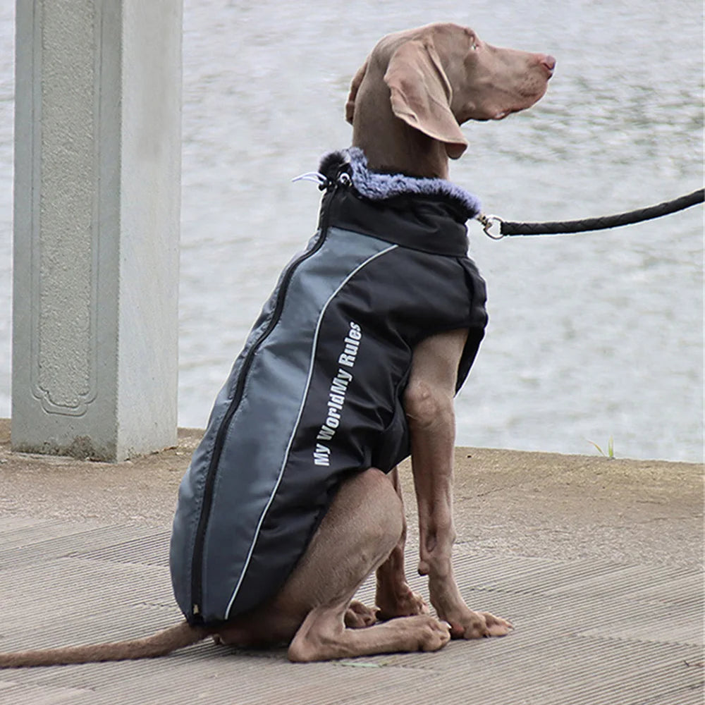 Reflective Waterproof Winter Dog Coat with Fur Collar & Harness