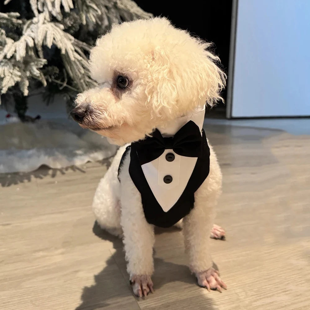 Tuxedo Dog Harness Vest with Bow Tie & D-Ring