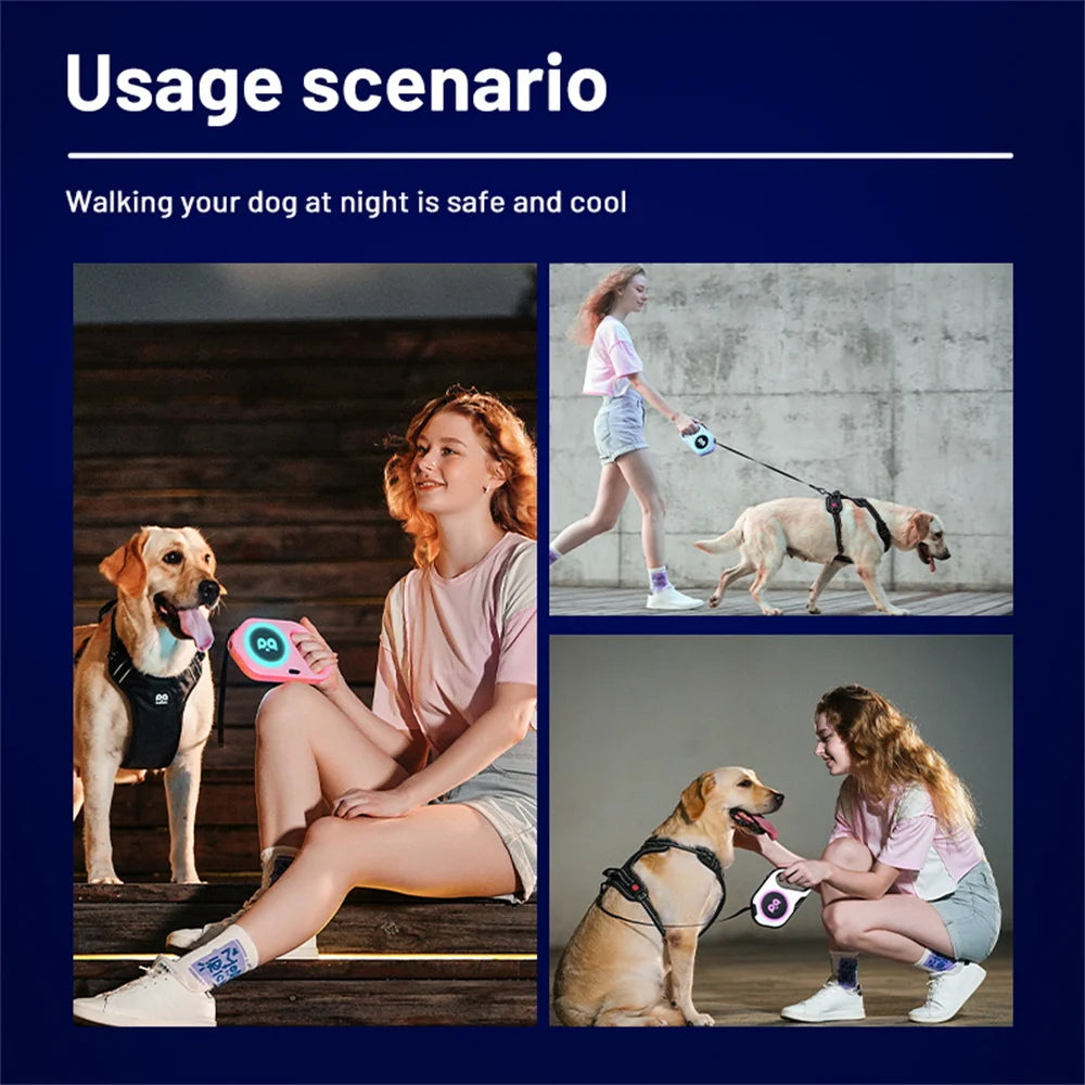 LED Retractable Dog Leash | 5M Rechargeable Light-Up Leash