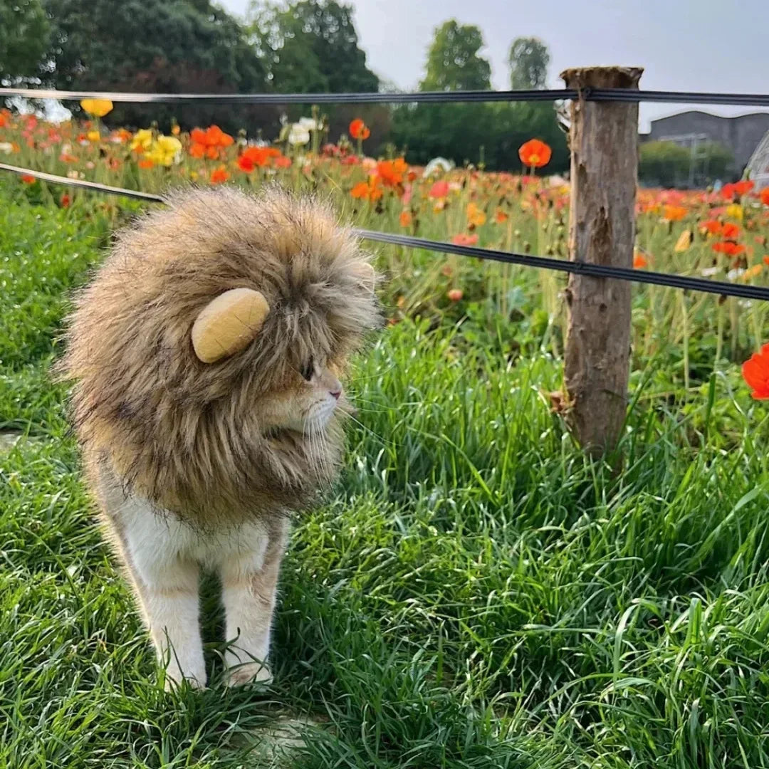 Lion Mane Pet Costume for Dogs and Cats