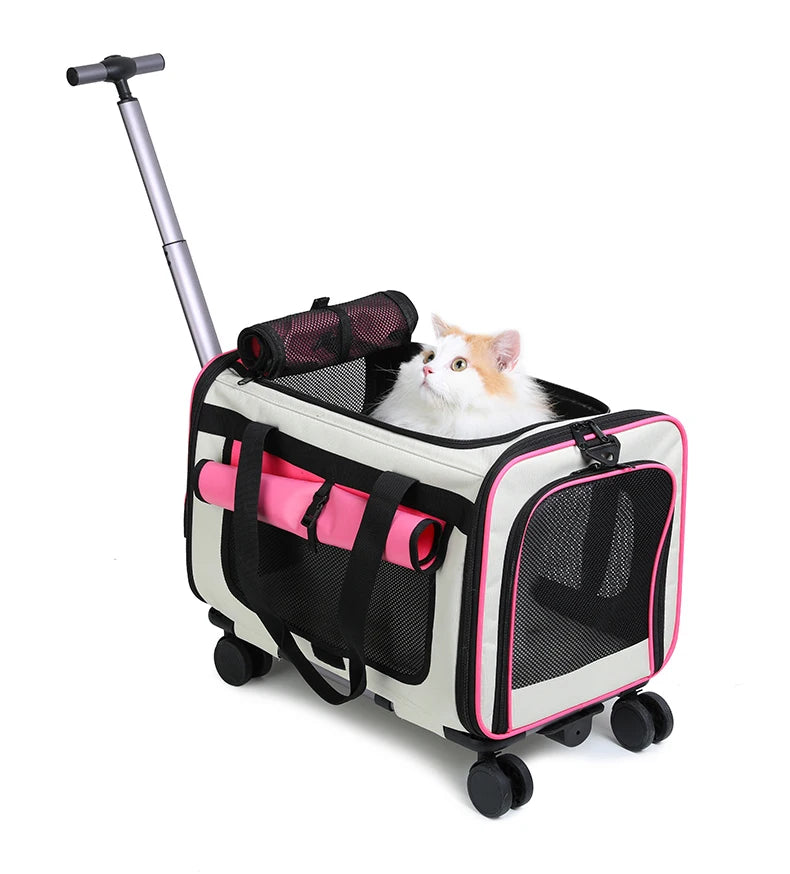 Sac de transport pliable pour animaux de compagnie — Grande valise de voyage détachable