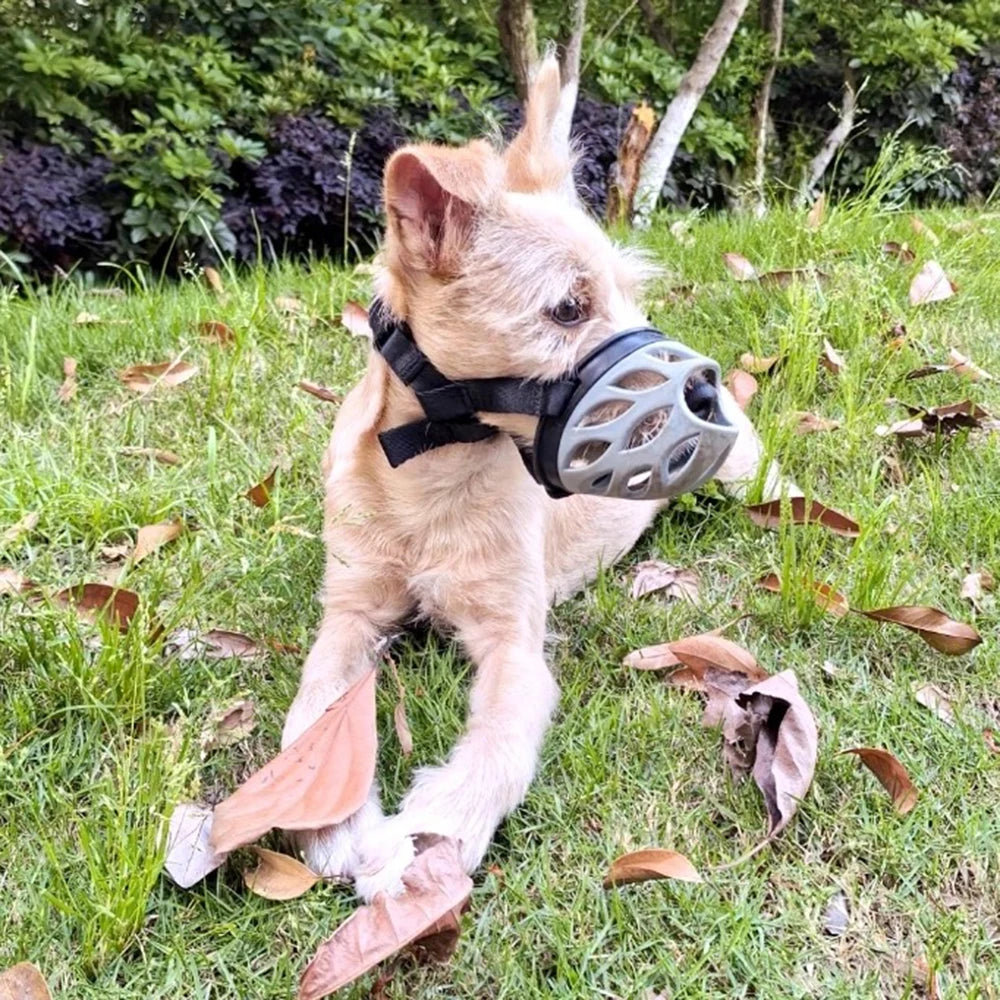 Breathable Anti-Bite Dog Muzzle with Open Nose