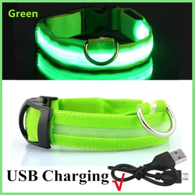 Collier lumineux LED pour chien - Réglable, clignotant, rechargeable - Collier lumineux pour la sécurité nocturne - Harnais lumineux anti-perte pour chien