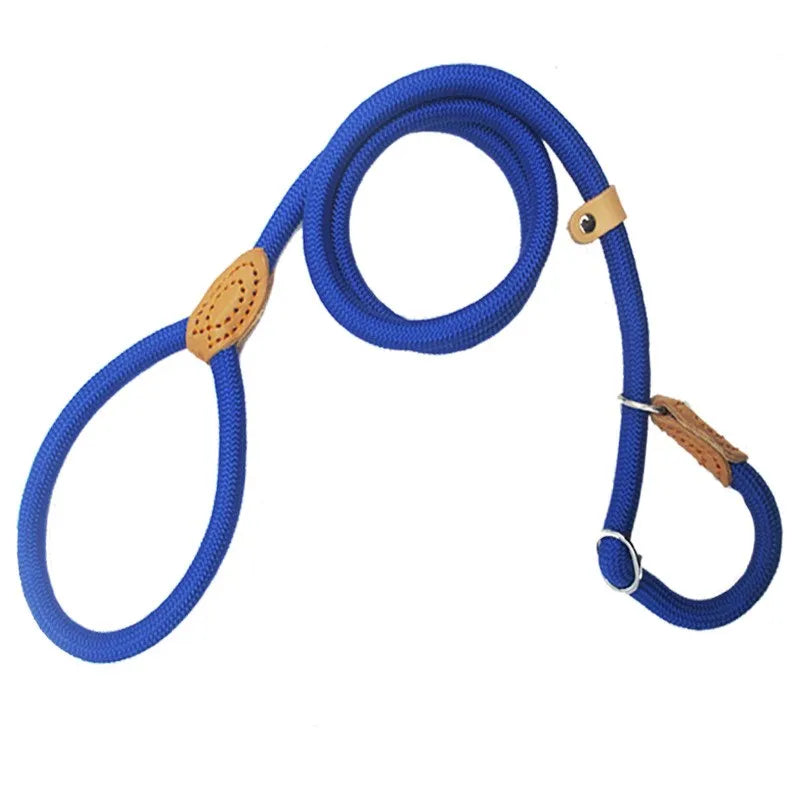 Laisse-collier chien - Corde tressée robuste avec boucle réglable pour grands chiens