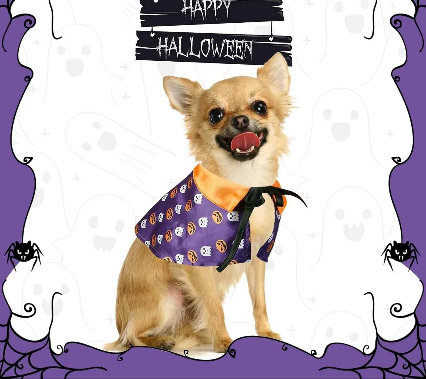 Déguisement d'Halloween pour Chat - Cape de Sorcier et Tenue de Sorcière pour Chats et Petits Chiens