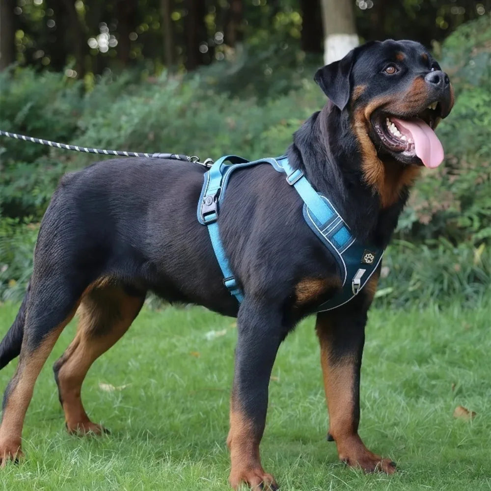 Reflective Tactical No-Pull Harness & Leash Set for Medium & Large Dogs